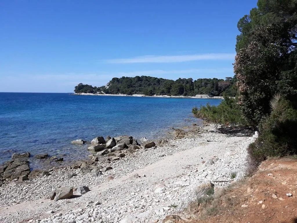 Seaview Apartment Rovinj 0*,